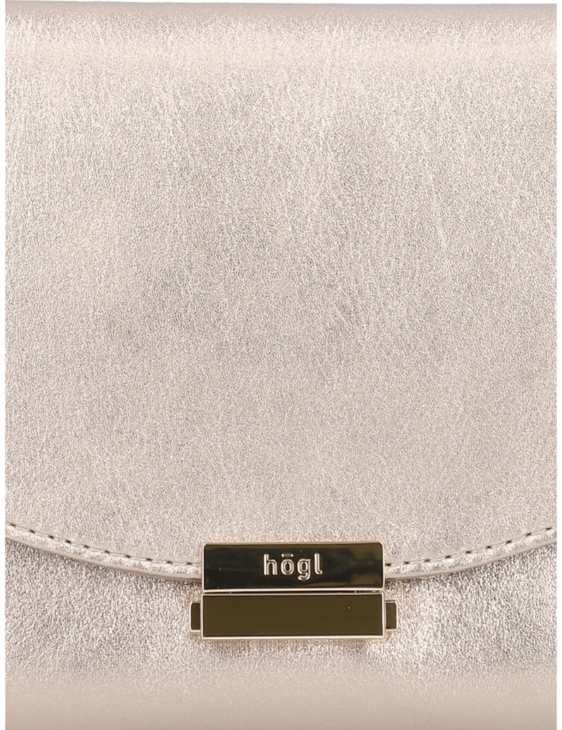 Högl-gladko-usnje-clutch-torbica-večbarvno