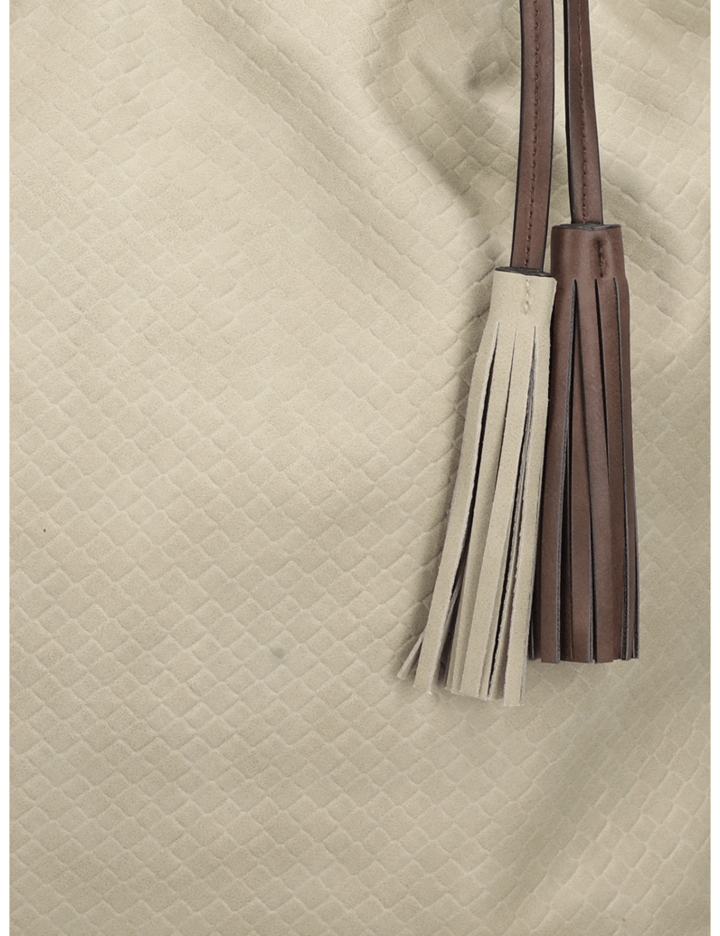 Minozzi-SUSY-BAG-IN-BAG