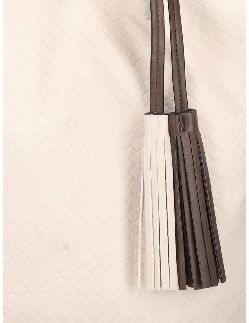 Minozzi-SUSY-BAG-IN-BAG