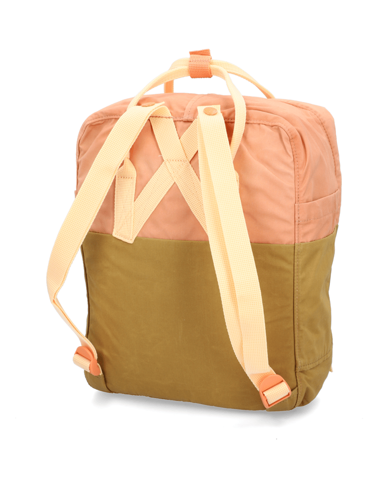 FJÄLLRÄVEN-KANKEN-ART