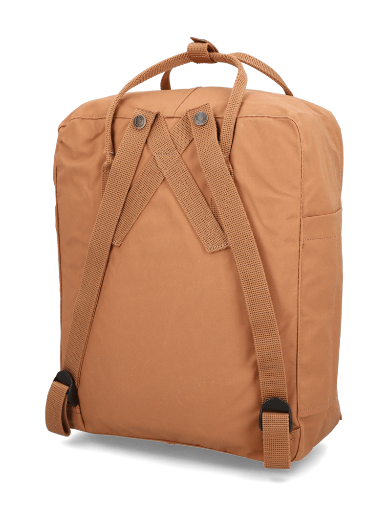 FJÄLLRÄVEN-Kånken-rot