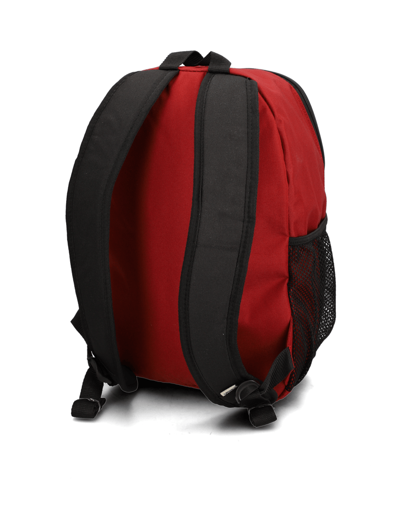 Vans-ALUMNI-BACKPACK-B-SUN