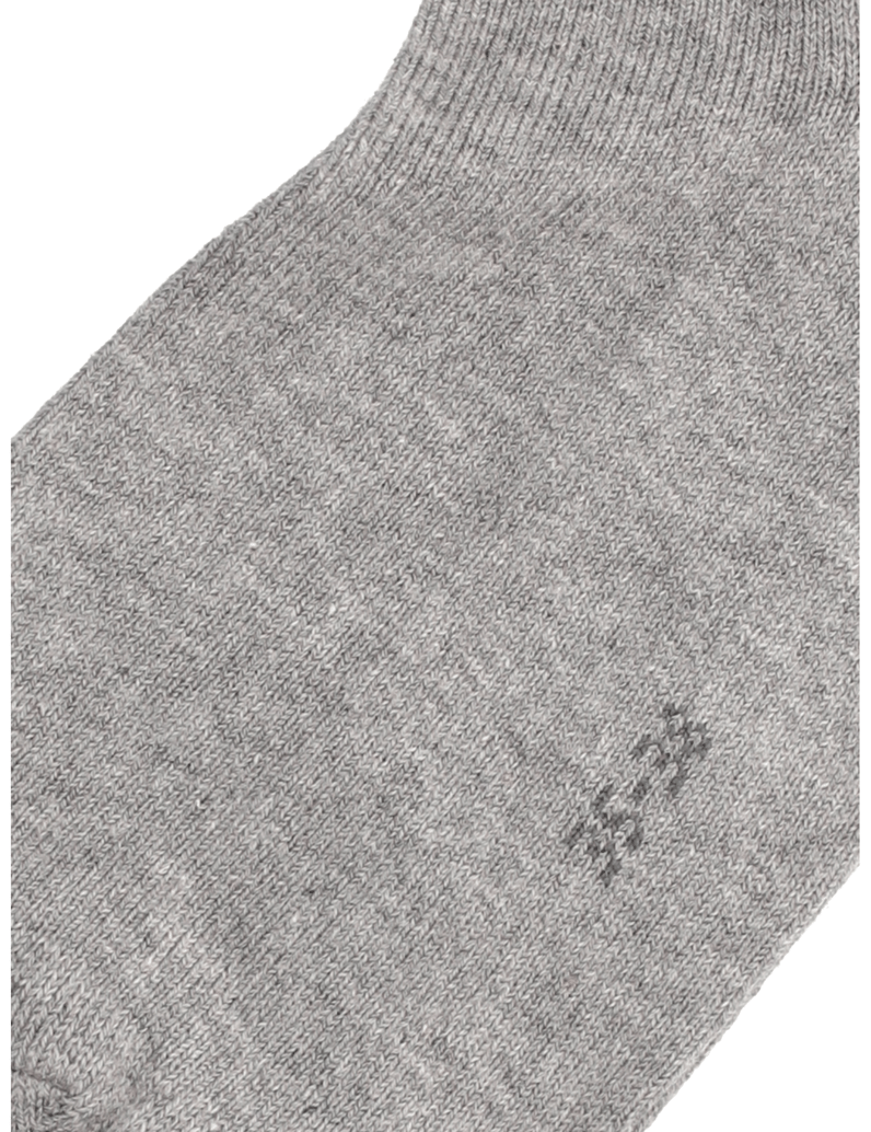 Falke-FAMILY-SNEAKER-grau