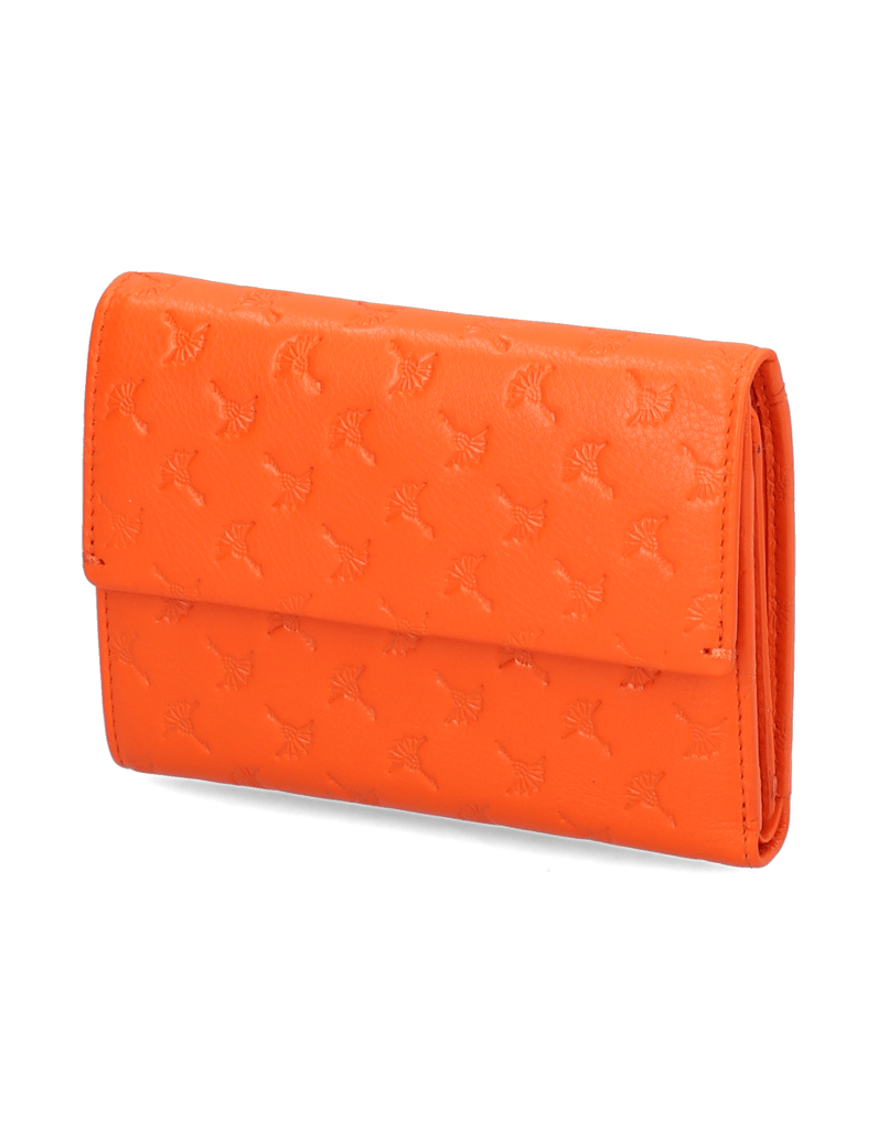 Joop-leggero-stampa-cosma-purse-mh10f