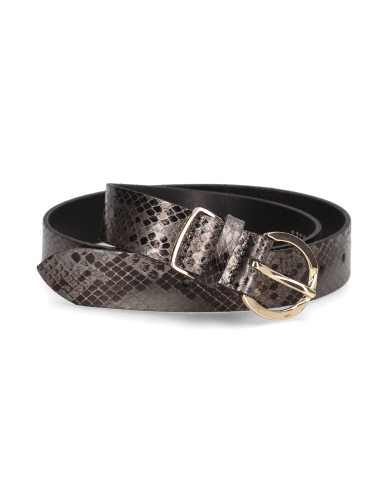 Lazzarini-SNAKE-barevná