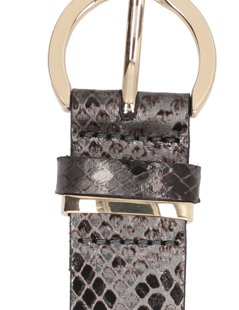 Lazzarini-SNAKE-barevná