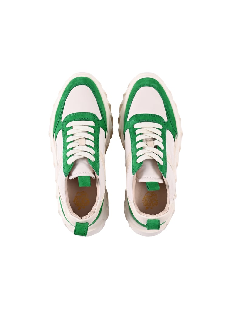 Apple-of-Eden-Sneaker-BLAIR