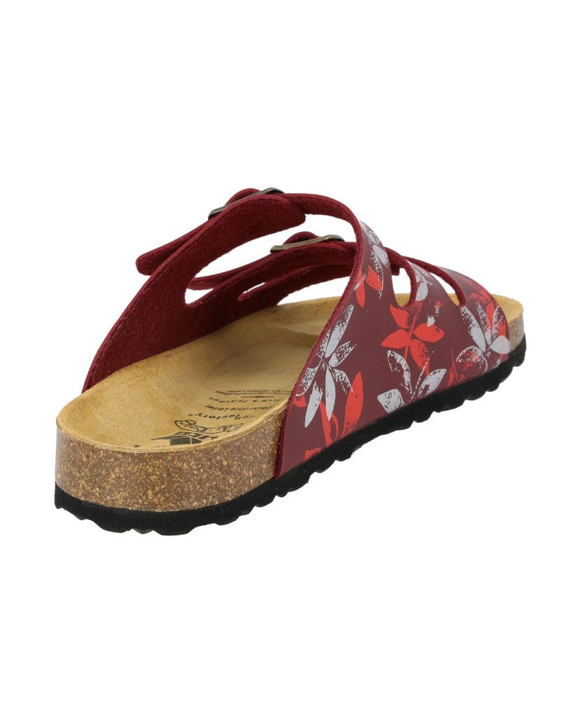 Lico-Pantolette-Bioline-Leave-rot