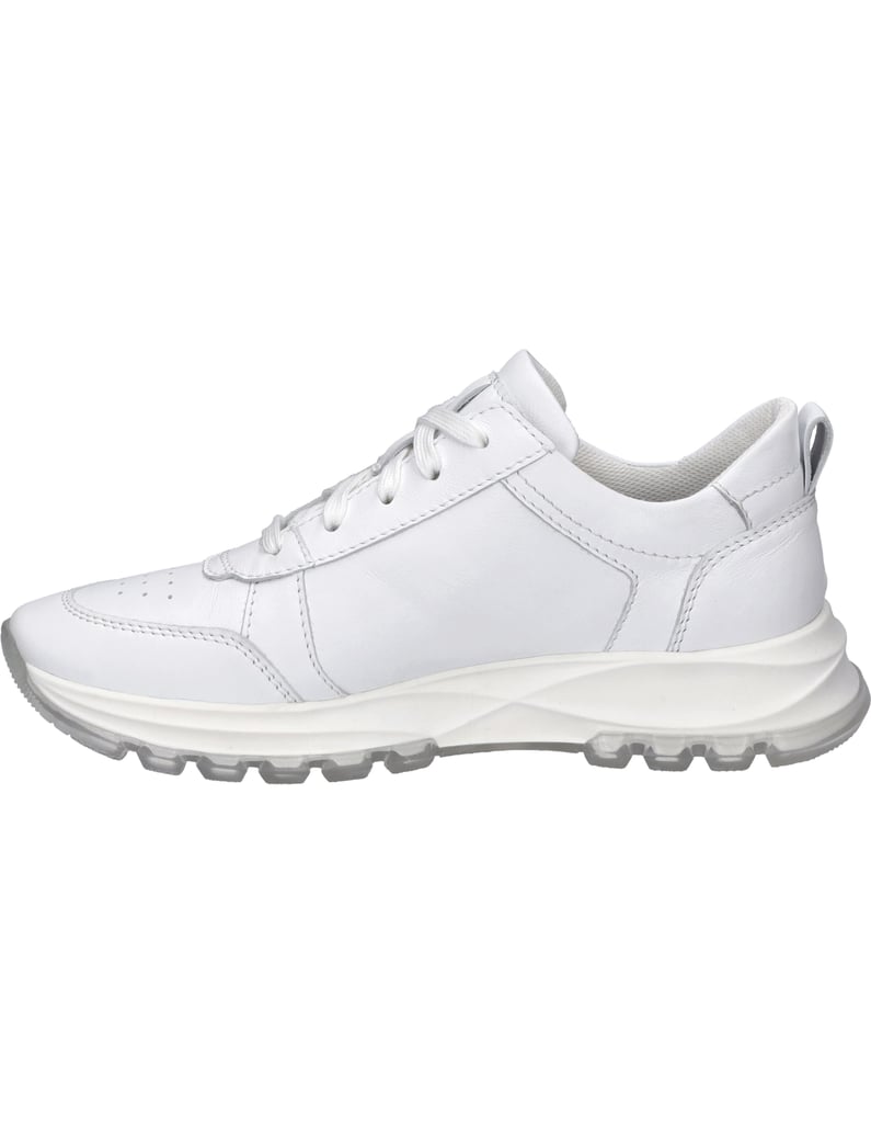 Westland-Sneaker-Ardeche-01,-weiss