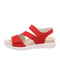 rot