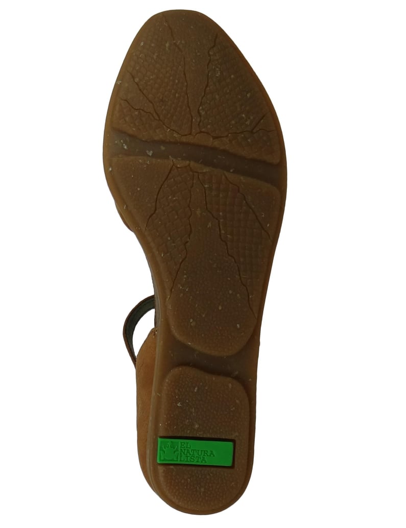 El-Naturalista-Ballerinas-Stella-braun