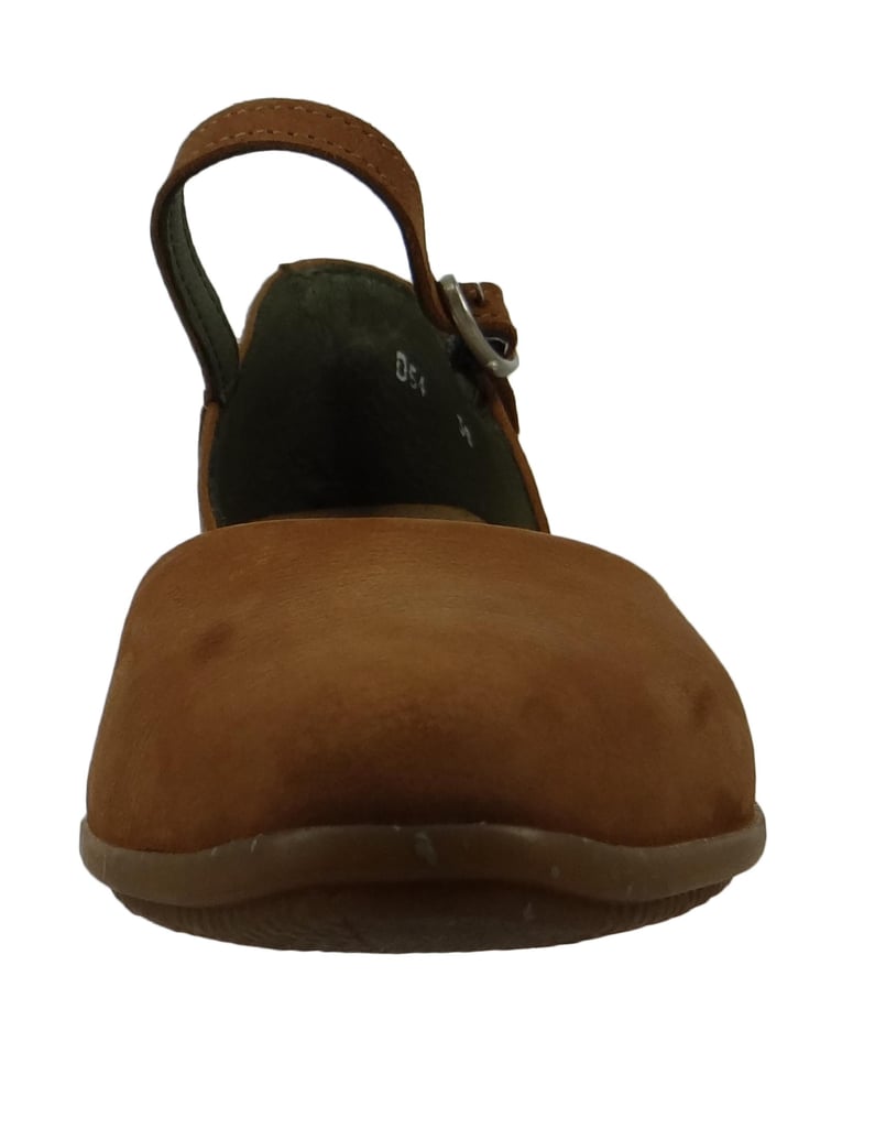 El-Naturalista-Ballerinas-Stella-braun