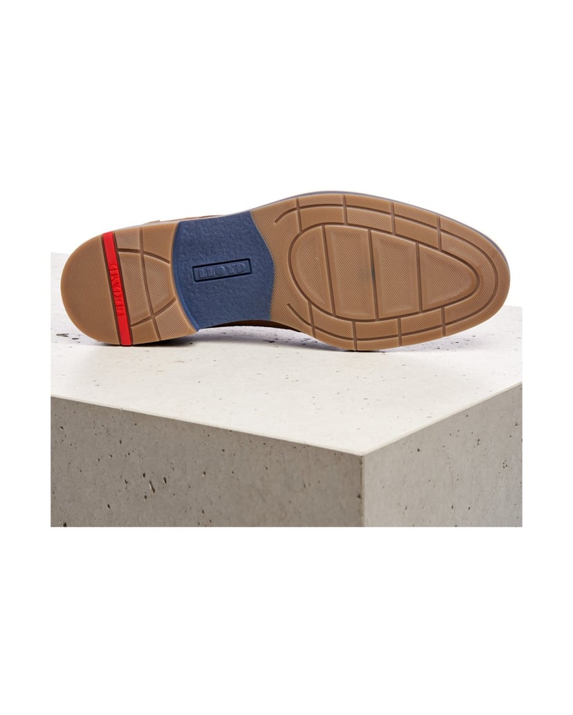 Lloyd-LANGSTON-braun