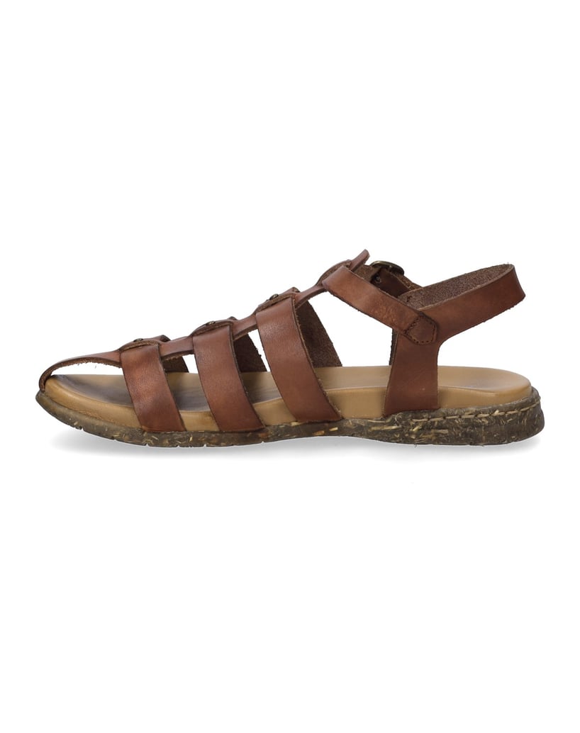 JOSEF-SEIBEL-Fabricia-04-koňaková