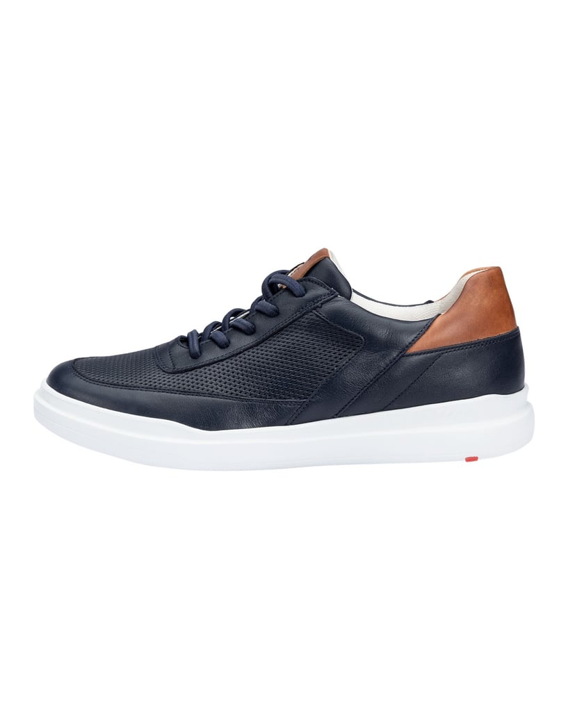 Lloyd-ARKAN-blau