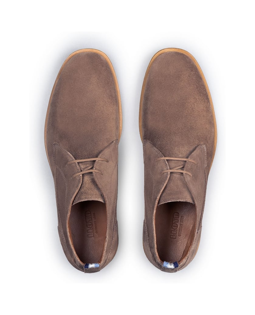 Lloyd-LIVERPOOL-braun