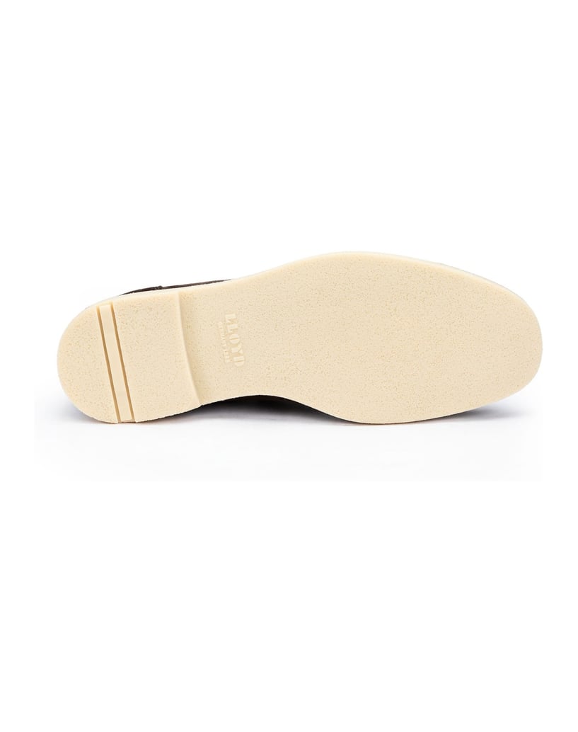 Lloyd-LIVERPOOL-braun