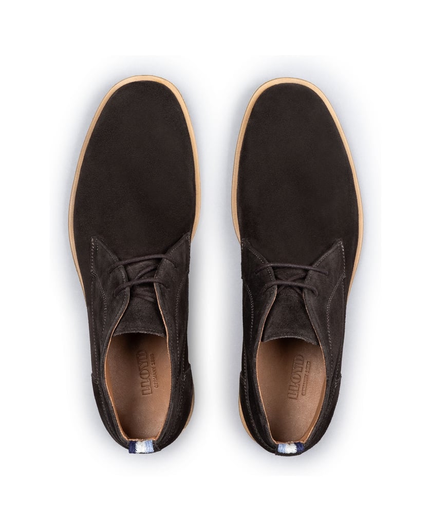 Lloyd-LIVERPOOL-braun