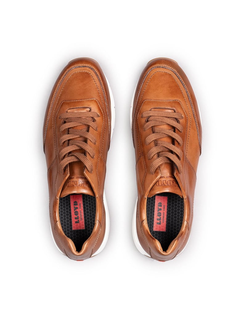 Lloyd-AMSTERDAM-braun