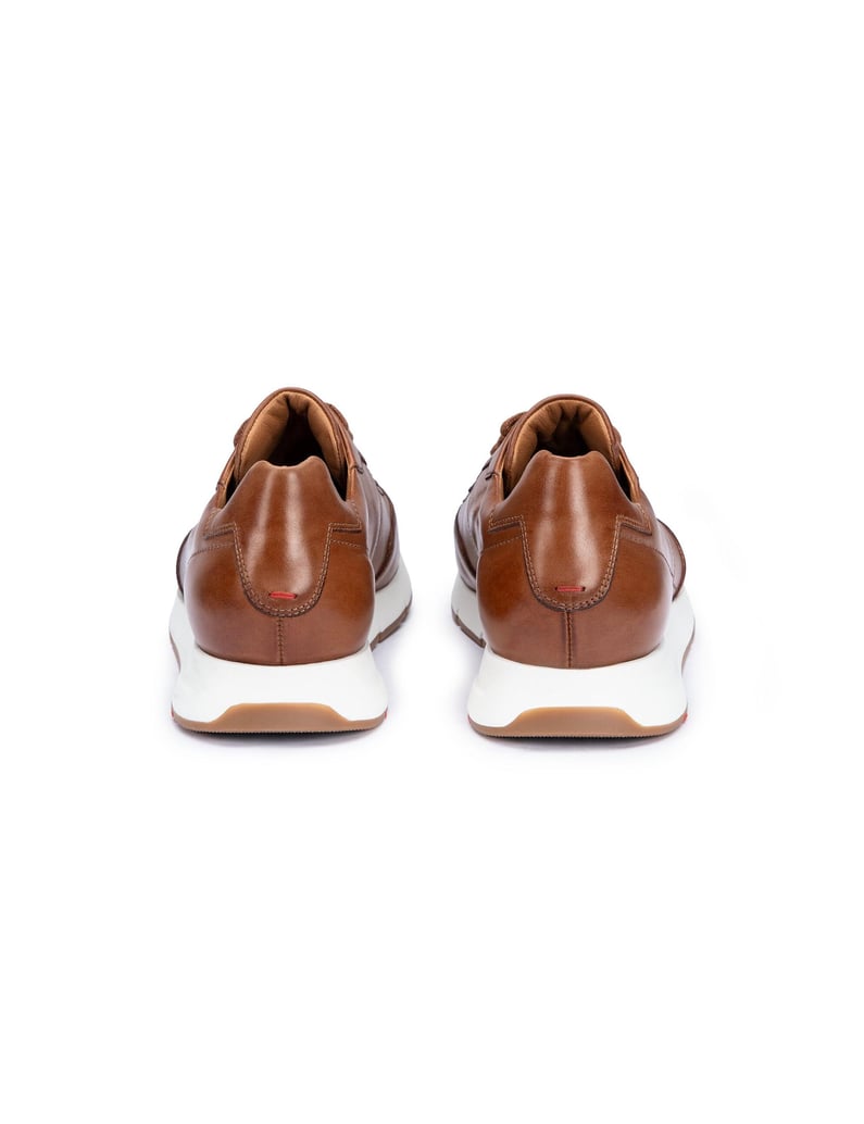 Lloyd-AMSTERDAM-braun