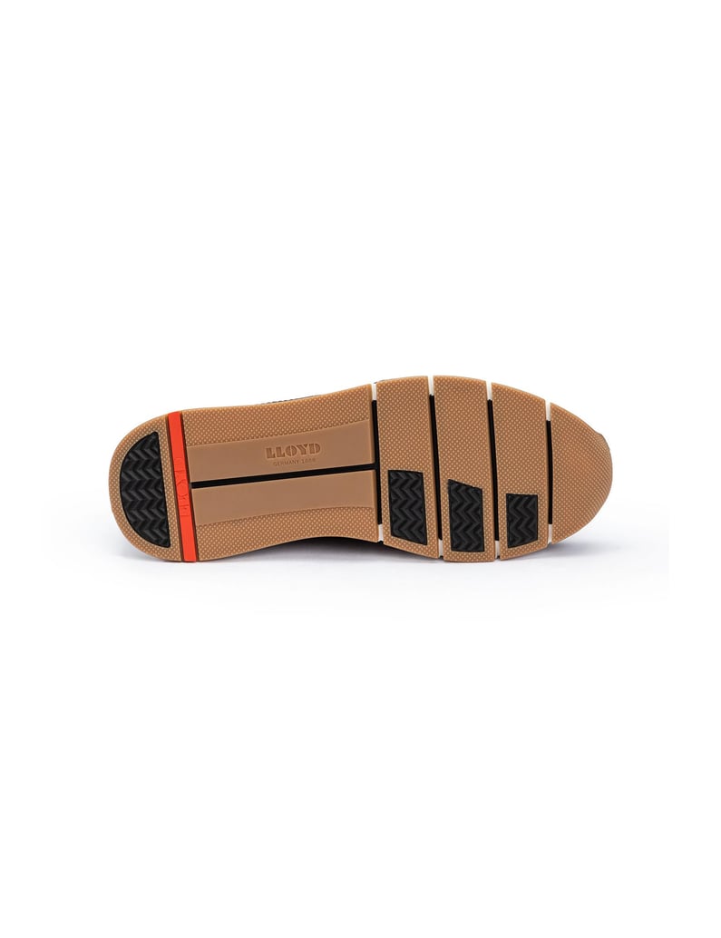 Lloyd-AMSTERDAM-braun