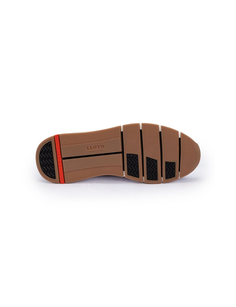 Lloyd-AMSTERDAM-braun