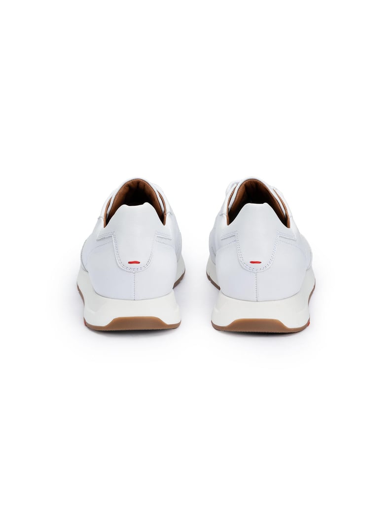 Lloyd-AMSTERDAM-braun