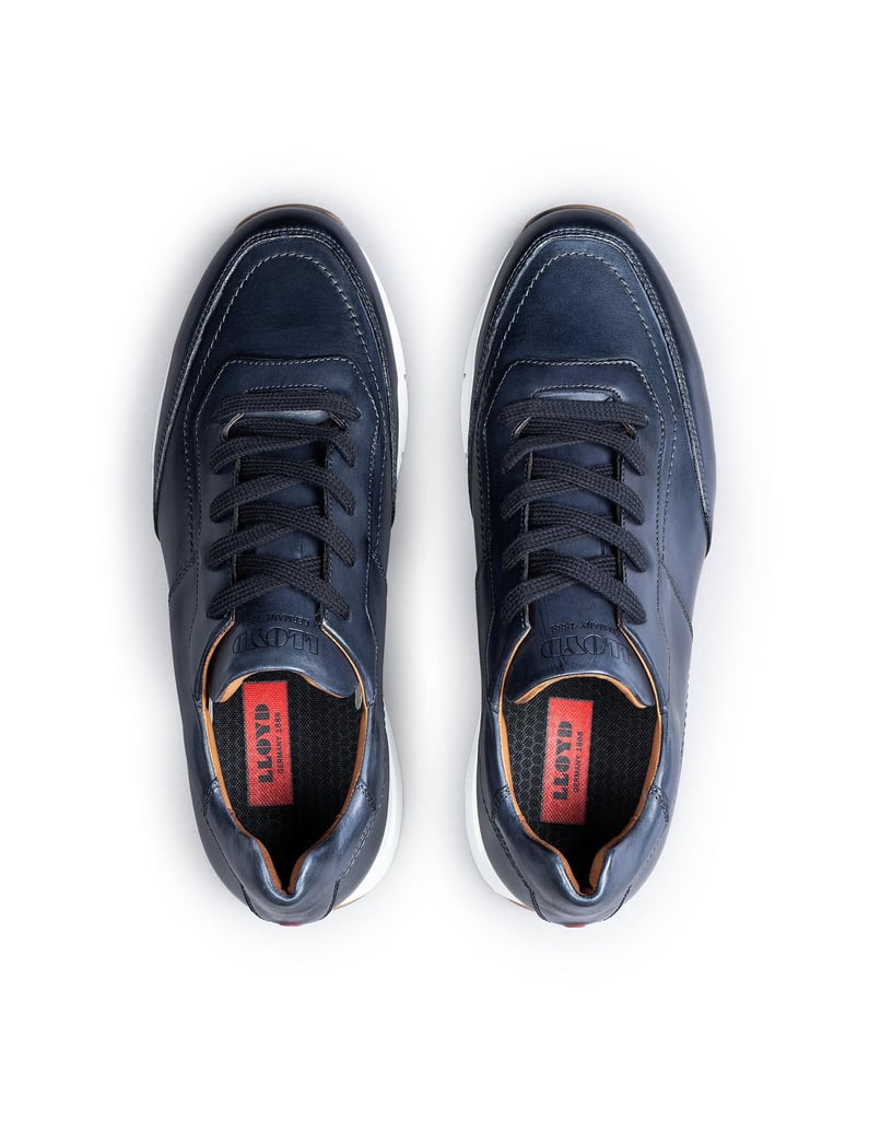 Lloyd-AMSTERDAM-braun