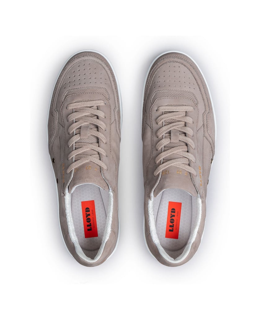 Lloyd-AQUILA-grau