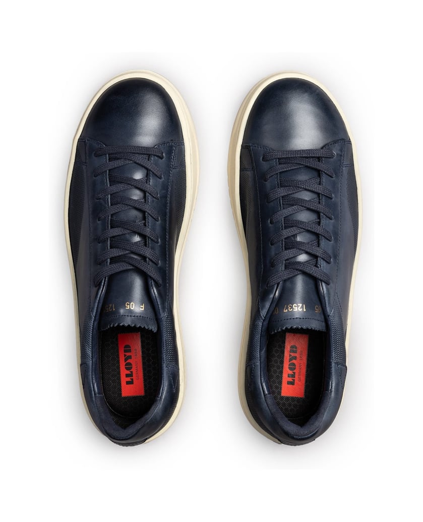 Lloyd-BLACKWELL-blau