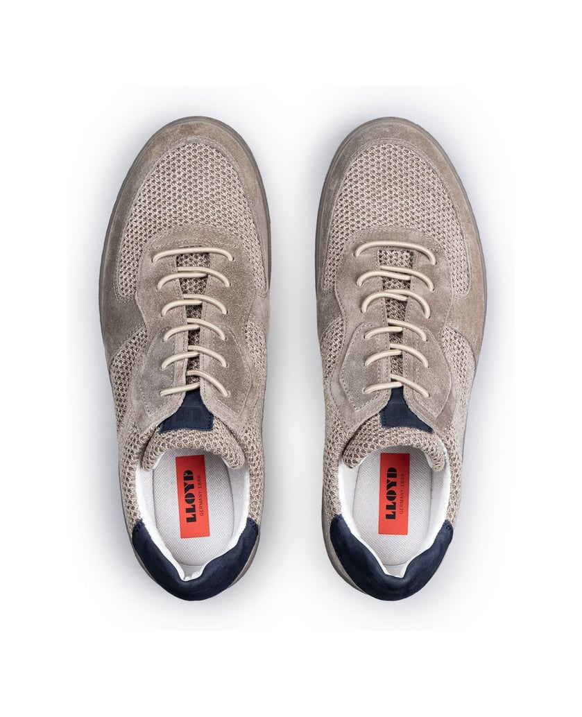 Lloyd-ANDRES-grau