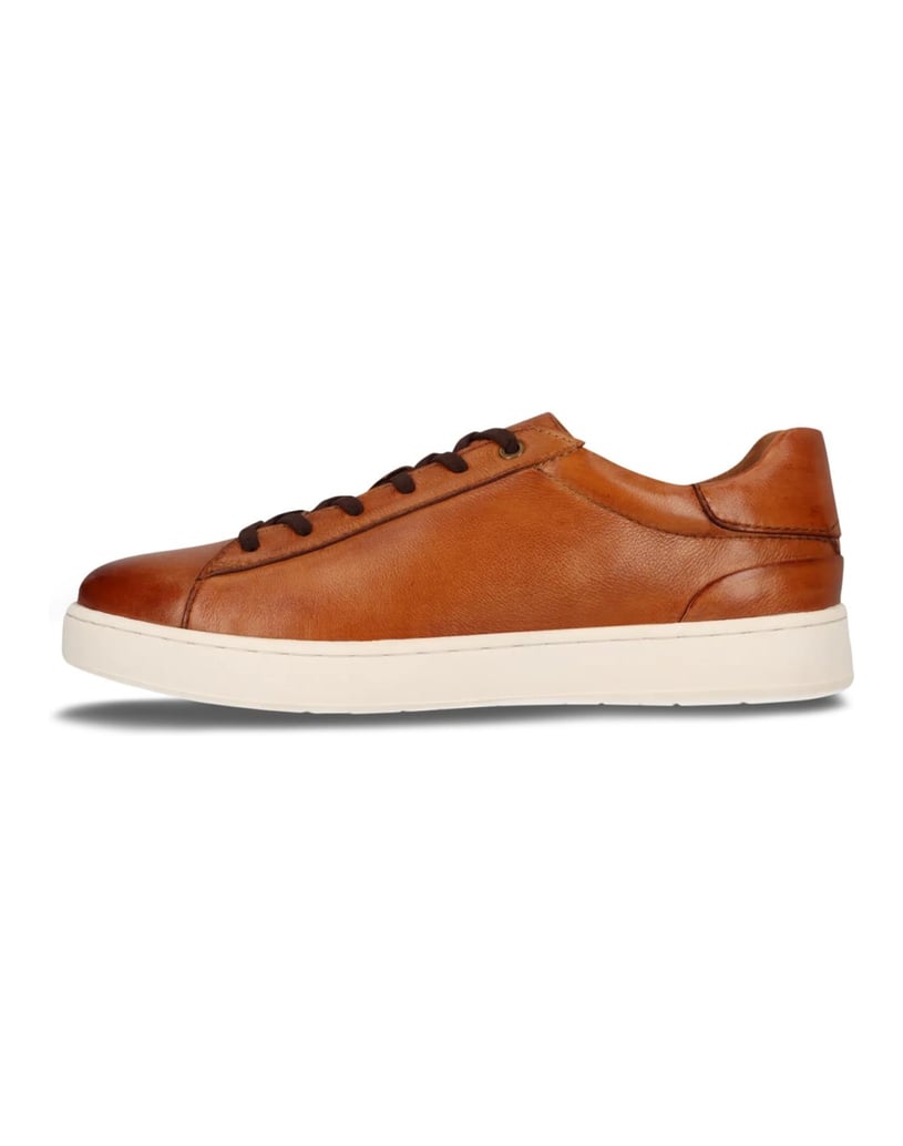 Salamander-Sneaker-cognac