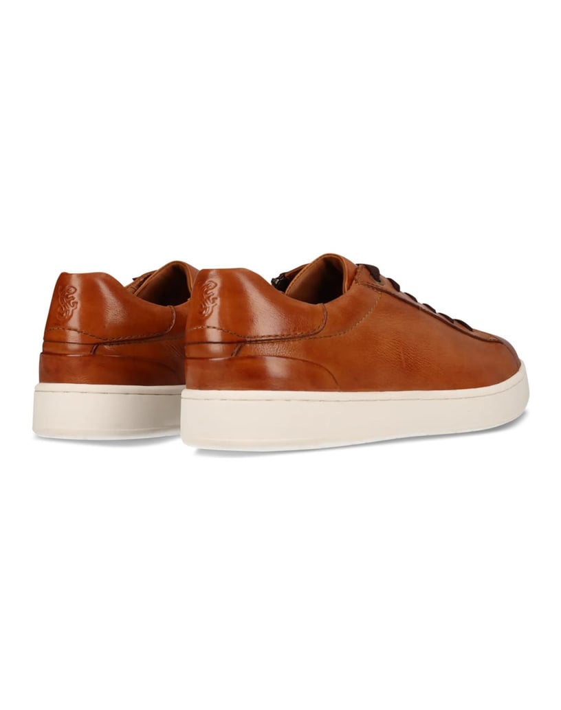 Salamander-Sneaker-cognac