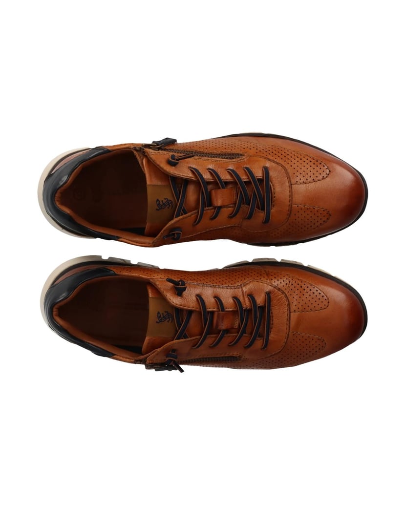 Salamander-Sneaker-cognac