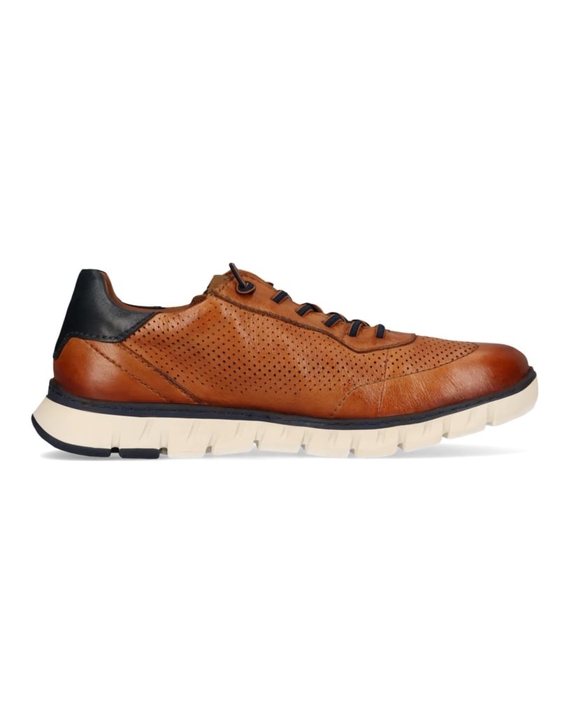 Salamander-Sneaker-cognac