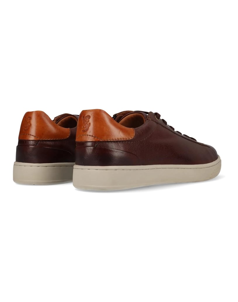 Salamander-Sneaker-braun