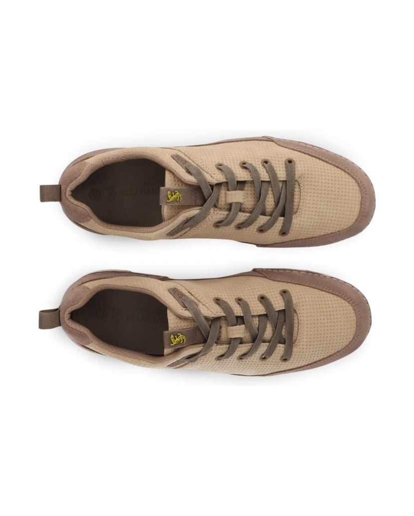 Salamander-SCHNÜRER-beige