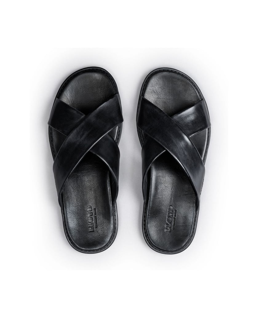 Lloyd-EMILIANO-schwarz