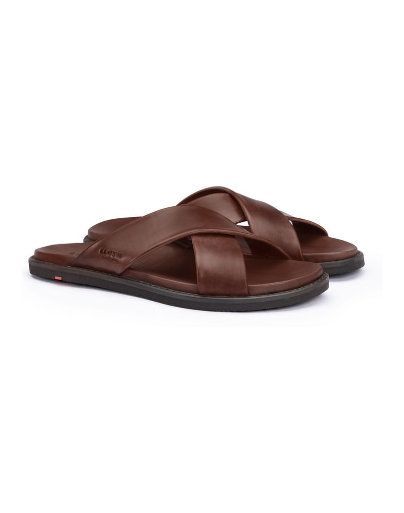 Lloyd-EMILIANO-schwarz