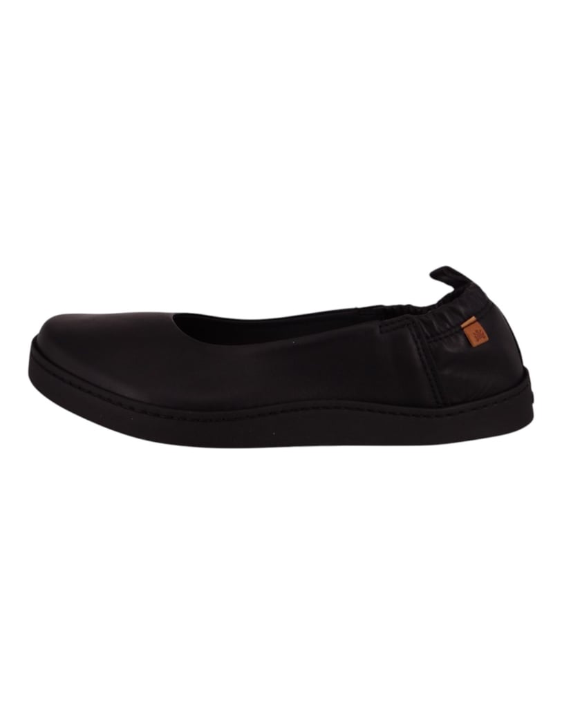 El-Naturalista-Ballerinas