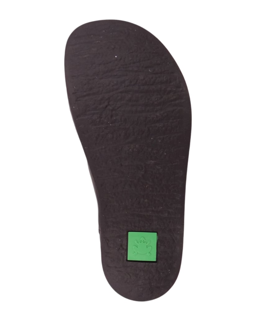 El-Naturalista-Ballerinas