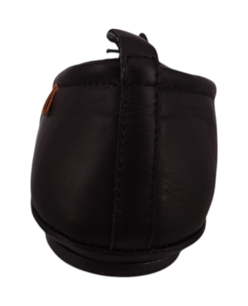 El-Naturalista-Ballerinas