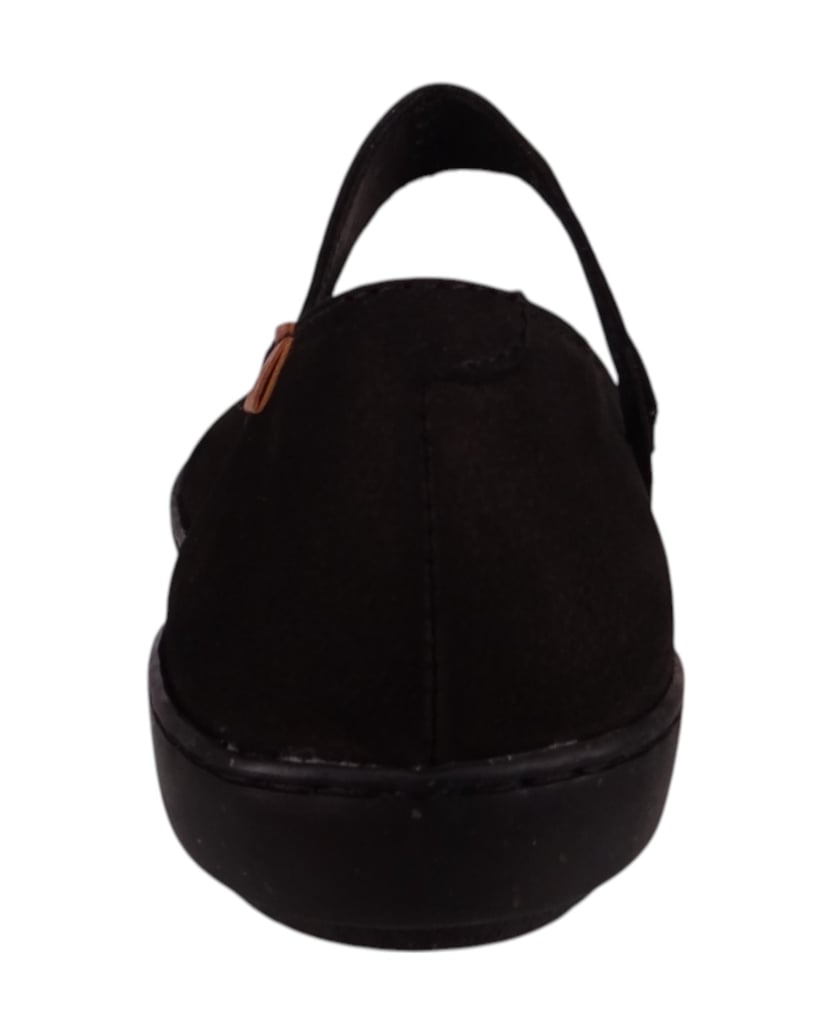 El-Naturalista-Ballerinas