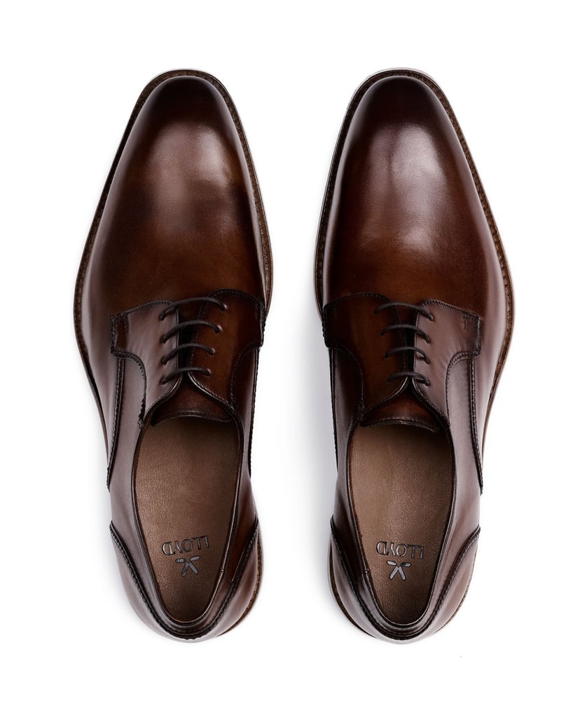 Lloyd-NOBEL-110-braun