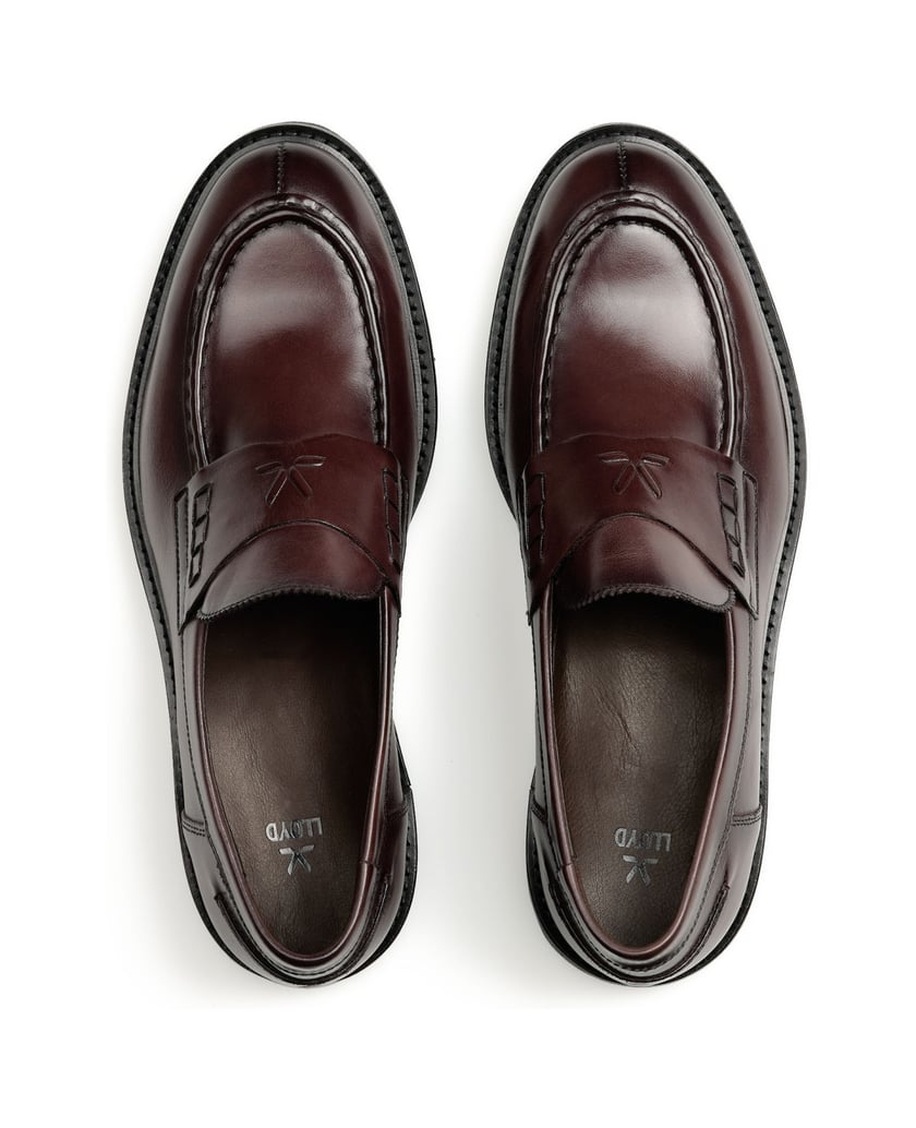 Lloyd-SELECT-240-braun