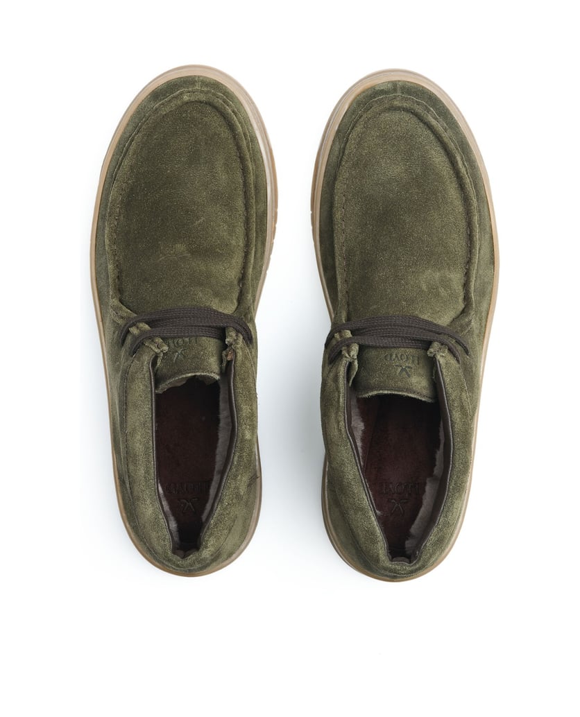 Lloyd-EVER-325L-grün