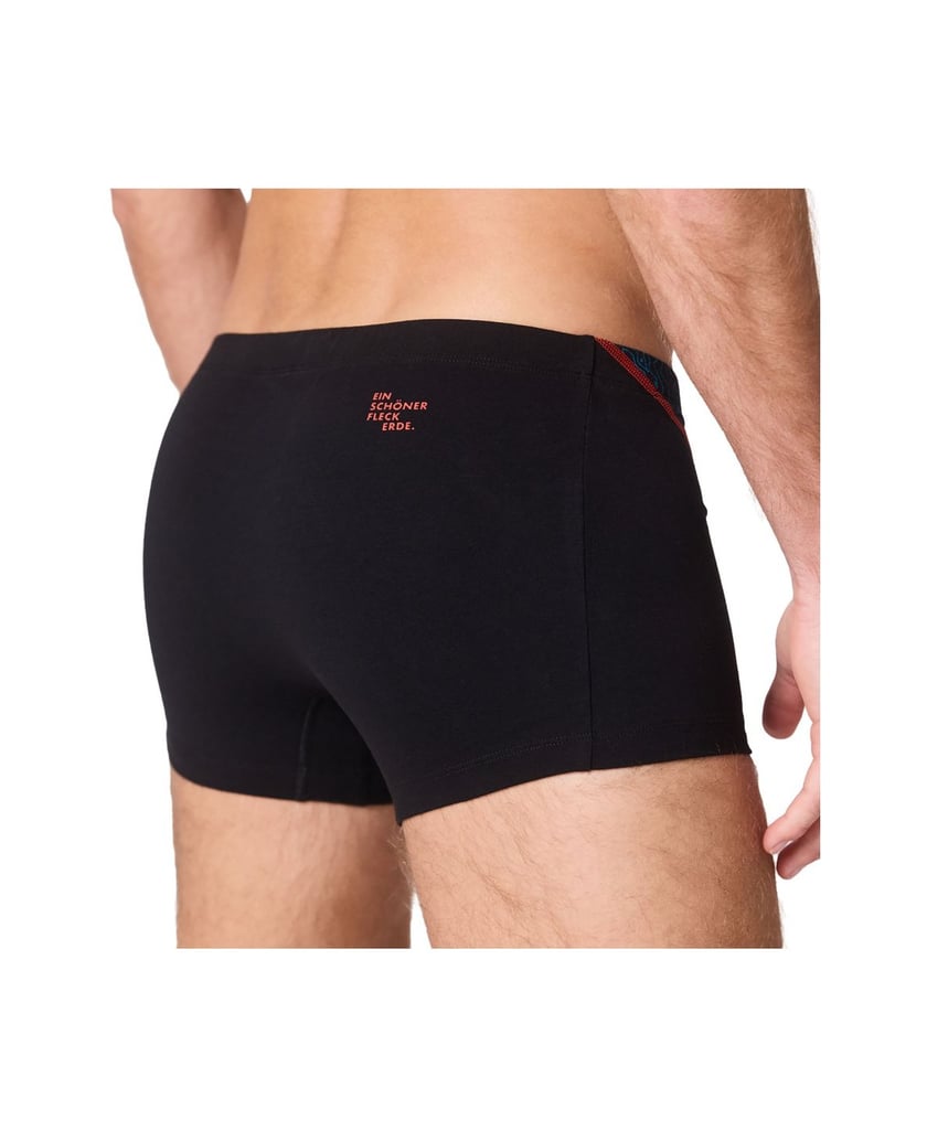 EIN-SCHÖNER-FLECK-ERDE-Herren-Boxershort-1er-Pack-schwarz