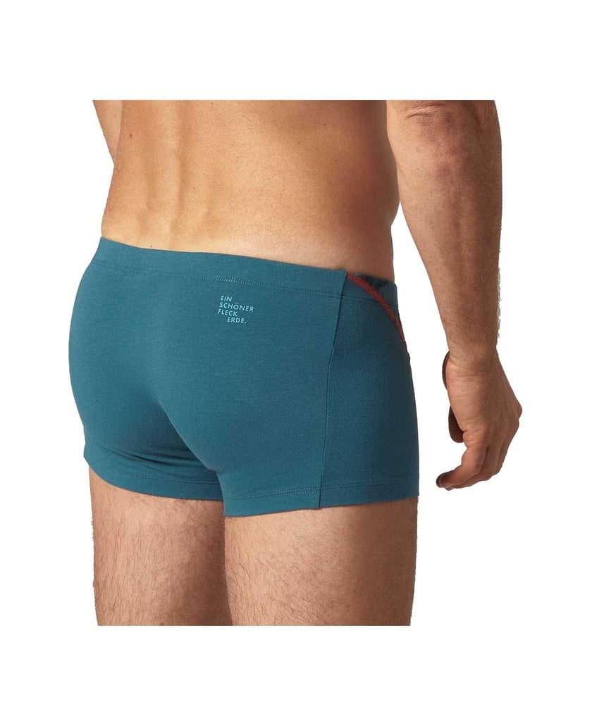 EIN-SCHÖNER-FLECK-ERDE-Herren-Boxershort-1er-Pack-schwarz
