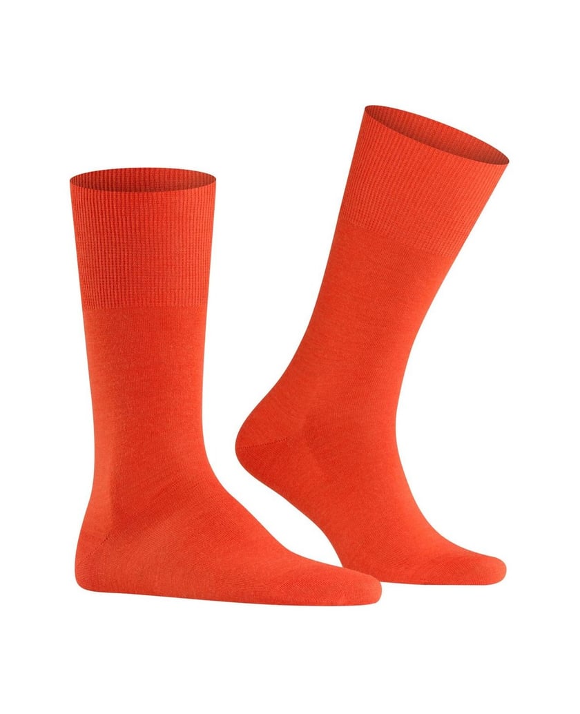 Falke-Herren-Socken-1er-Pack-grün