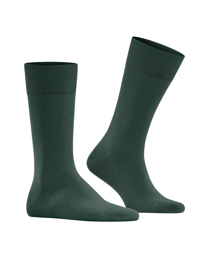 Falke-Herren-Socken-2er-Pack-grün